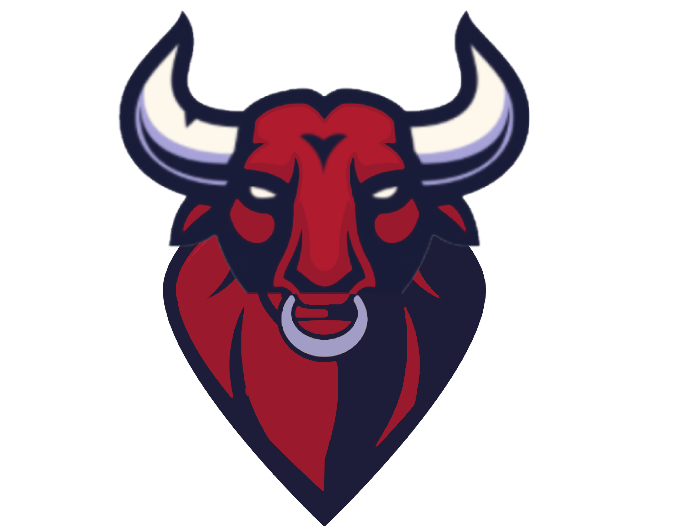 BullyBall Fantasy Football